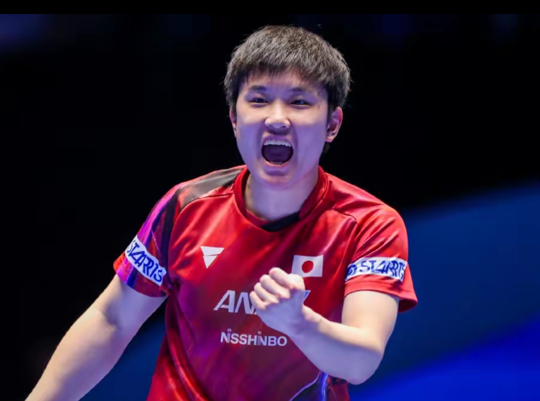 而就在今年 而就在今年