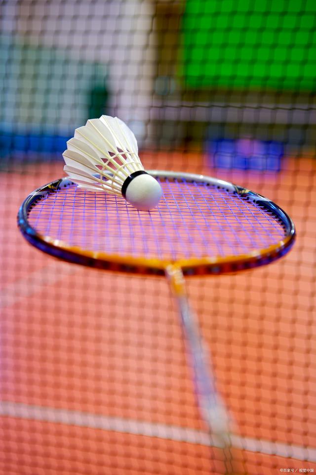 天交易启动 天交易启动